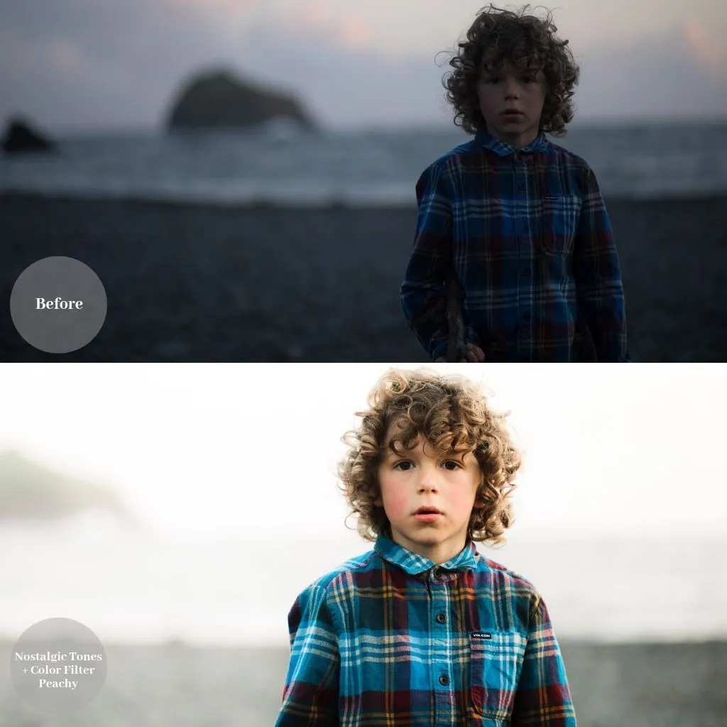 2024 Everything, Entire Store Lightroom Preset Bundle (99 Collections!)