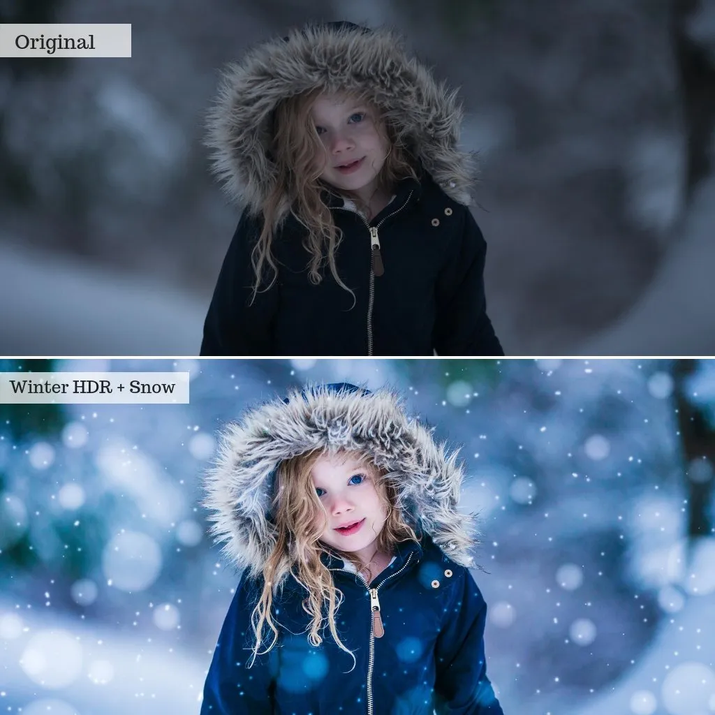 2024 Everything, Entire Store Lightroom Preset Bundle (99 Collections!)