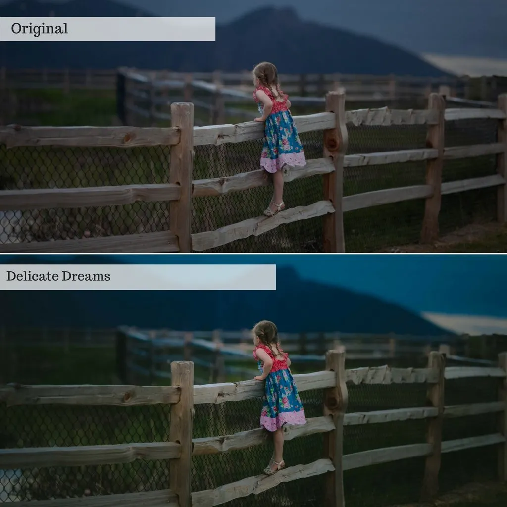 2024 Everything, Entire Store Lightroom Preset Bundle (99 Collections!)