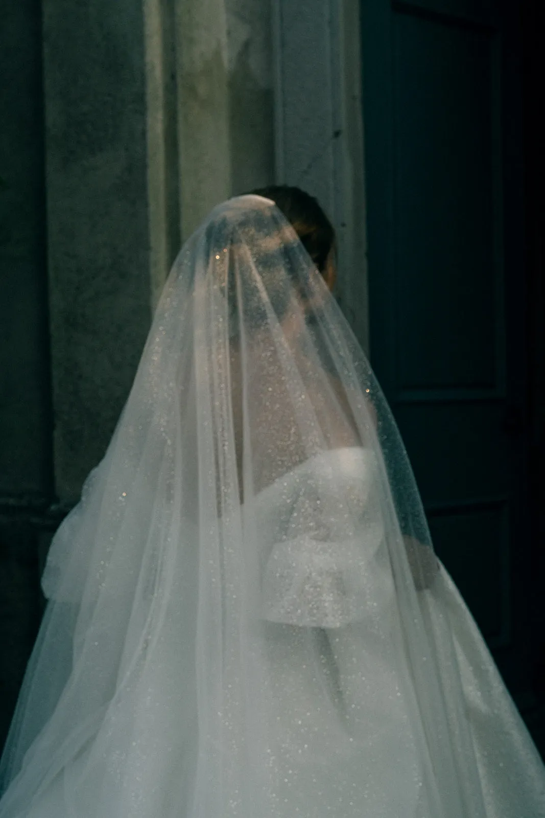 CAPELLA | Sparkling Wedding Veil with Blusher