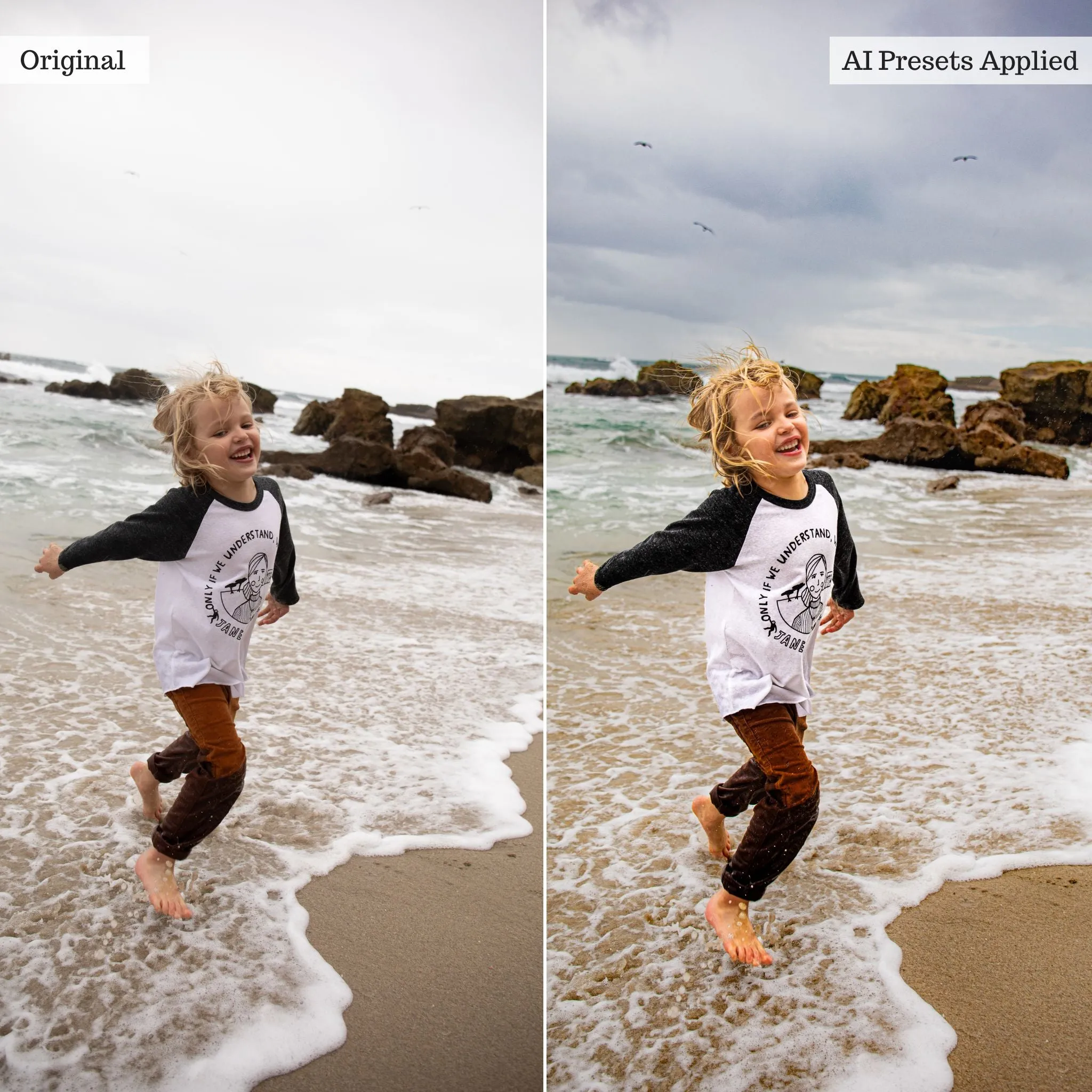 Luxe Portrait Artificial Intelligence (AI) Retouch Toolkit Lightroom Presets – Desktop