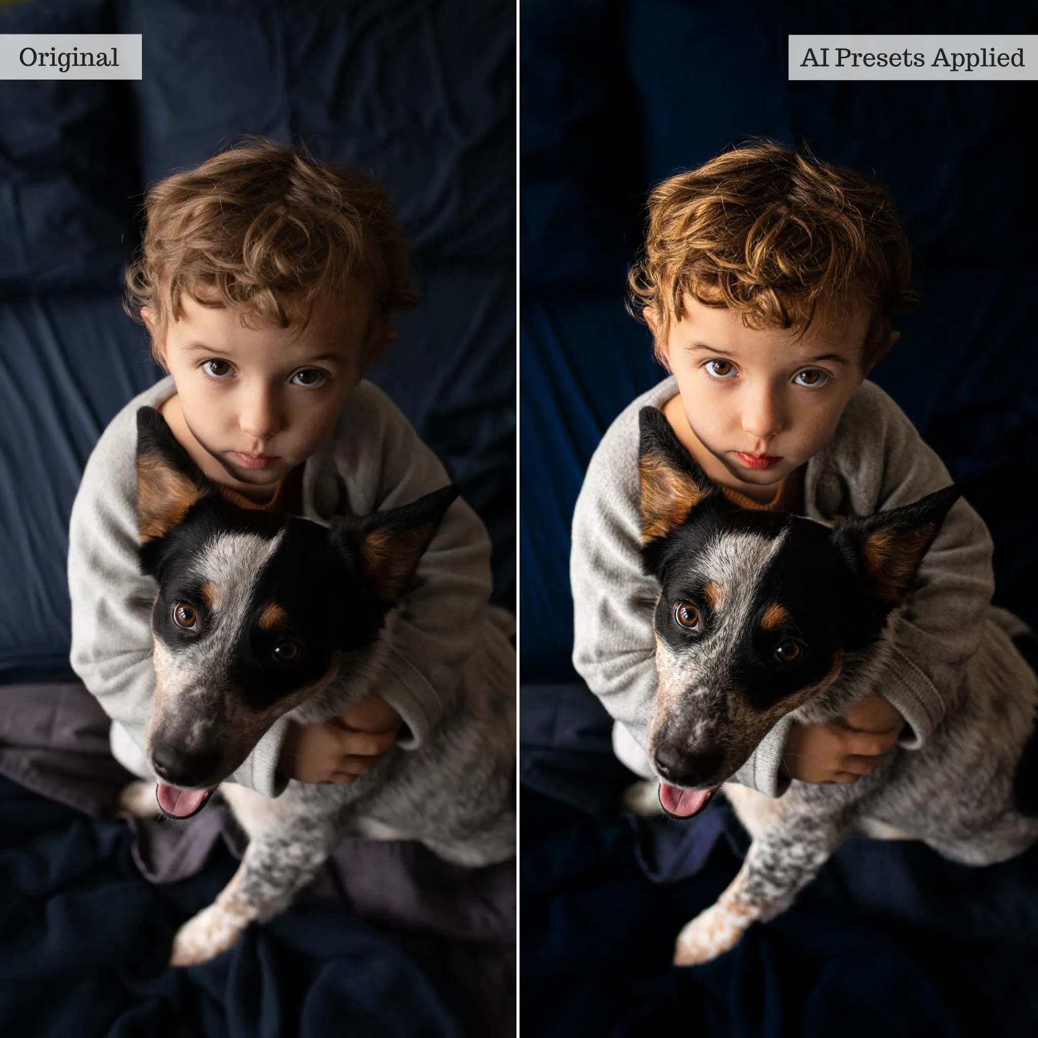 Luxe Portrait Artificial Intelligence (AI) Retouch Toolkit Lightroom Presets – Desktop